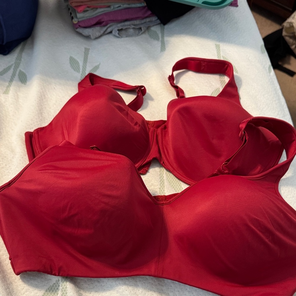 Two Elegant Scarlet Red  Women's Bra